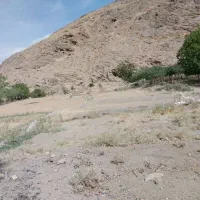 فروش زمین 1000متری|فروش زمین و ملک کلنگی|خوانسار, |دیوار