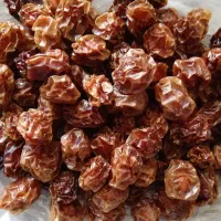 آلو خوراکی|خوردنی و آشامیدنی|شیراز, گلشن|دیوار