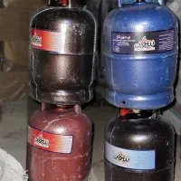پیک نیک (پخش تک به قیمت عمده)