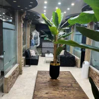 دندانپزشکی / کامپوزیت ونیر ، روکش، جراحی دندان عقل|خدمات آرایشگری و زیبایی|کرج, شهرک بنفشه|دیوار