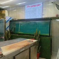 آکواریوم قزل با همه امکانات