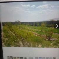 فروشی باغچه