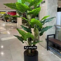 باباادم درخت چه|گل مصنوعی|تهران, مشیریه|دیوار