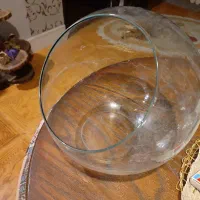 تراریوم کوچک|ماهی|صدرا-فارس, فاز ۱|دیوار