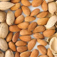 بادام سنگی|خوردنی و آشامیدنی|صوفیان, |دیوار
