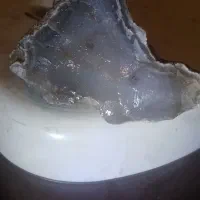 س راف عقیق|کلکسیون و سرگرمی|پردیس, فاز ۳|دیوار