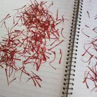 فروش زعفران سوپر نگین درجه یک