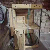 قفس جفتگاه حیون