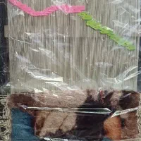 تابلو فرش طرح لیدا|تابلو فرش|مشهد, شهید قربانی|دیوار