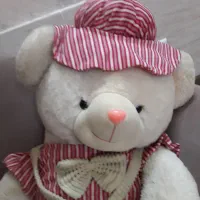 عروسک خرسی|اسباب‌‌بازی|مشهد, یوسفیه (شهرک غرب)|دیوار