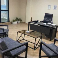 وکیل پایه یک دادگستری و‌مشاور حقوقی