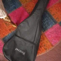 کیف گیتار - کیس گیتار