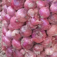23000|عمدهفروشی|باغ ملک, |دیوار