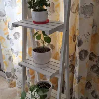 استند ۴ طبقه گل در حد نو