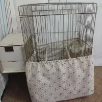 قفس پرنده