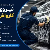 نیروی کارواش