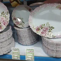 ظرف و ظروف و وسایل برقی