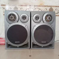 یه جفت باند آیوا