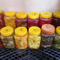 ترشی خانگی،رب،خیارشور،مربا، کاملن بهداشتی وتمیز