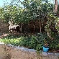 خانه کلنگی|فروش زمین و ملک کلنگی|خوانسار, |دیوار