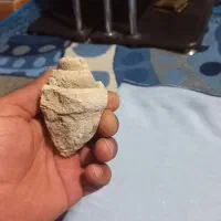 فسیل|کلکسیون اشیاء عتیقه|فیروزآباد (فارس), |دیوار