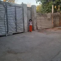 زار جزیره هرمز