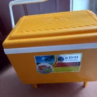 یخچال مسافرتی