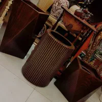 گلدان کنار سالنی چوبی درختچه