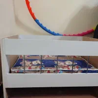 تخت و روروک بچه
