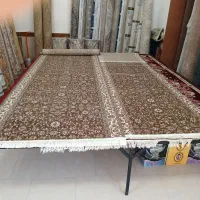 کناره فرش شهرکناره|فرش|نکا, |دیوار