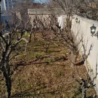 هرس کاری سم پاشی بادستگاه بزرگ کوددهی شمشادزنی