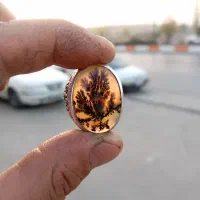 شجر فوق‌العاده زیبا کلکسیونی