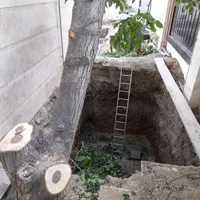 برش چوب درخت وخرید چوب درمحل|خدمات پیشه و مهارت|ارومیه, |دیوار