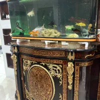 تعدادی اکواریوم به فروش میرسد