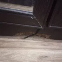 جاکفشی|جاکفشی، کمد، دراور|صدرا-فارس, فاز ۱|دیوار