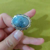 انگشتر نقره شجر و دارای باباقوری