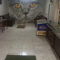 مغازه-فروش-و-اجاره