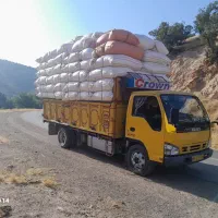 کاه