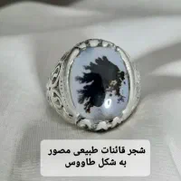 کلکسیون انگشتر های شجر قائنات ناب طبیعی مصور|جواهرات|تهران, استاد معین|دیوار