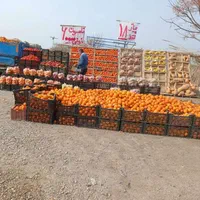 اجاره یا مشارکت جایگاه فروش میوه