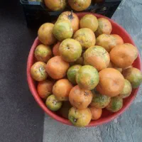 نارنج محلی آبدار