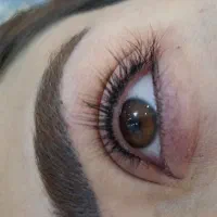 انجام خدمات تخصصی میکروپیگمنتیشن و فیبروز|خدمات آرایشگری و زیبایی|اصفهان, برازنده|دیوار