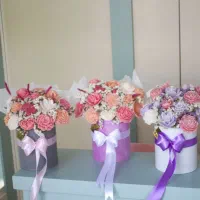 باکس گلشمعی|گل و گیاه طبیعی|مشهد, بهارستان|دیوار