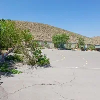 نقاش حرفه ای