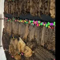 موهای شما رو با قیمت مناسب میلیونی میخرم