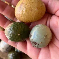 عقیق و کوارتز