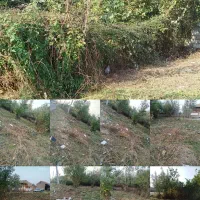 چمنزنی و علفزنی با دستگاه