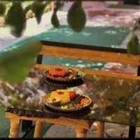 استخدام نیروی رستوران|استخدام خدمات فروشگاه و رستوران|شیراز, منصورآباد|دیوار