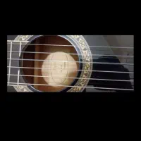 گیتار هافنر بلک