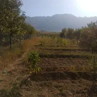 باغ فریدونشهر اصفهان|فروش دفتر صنعتی، کشاورزی، تجاری|فریدونشهر, |دیوار